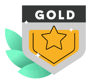 Brand Design Shop - Gold Branding Package Website Icon
